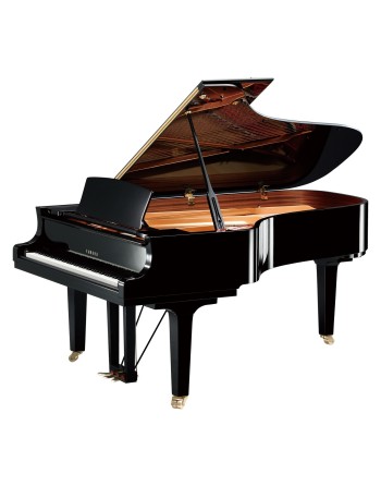 Location piano à queue...